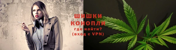 крисы Белокуриха