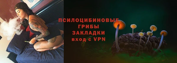 твердый Белоозёрский