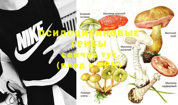 твердый Белоозёрский