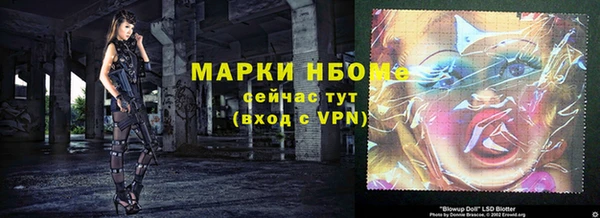 крисы Белокуриха