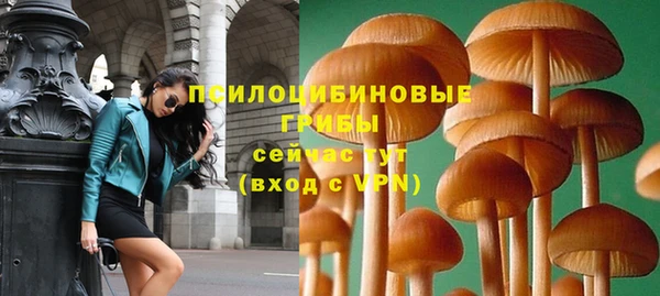 крисы Белокуриха