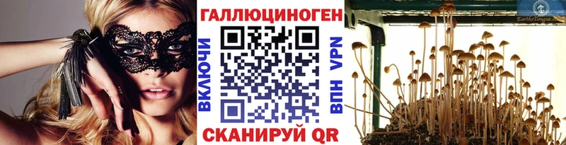 площадка формула  Озёры  Галлюциногенные грибы прущие грибы 